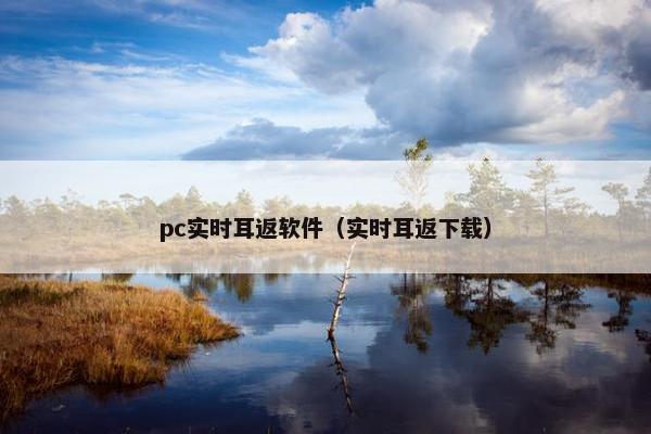 pc实时耳返软件（实时耳返下载）