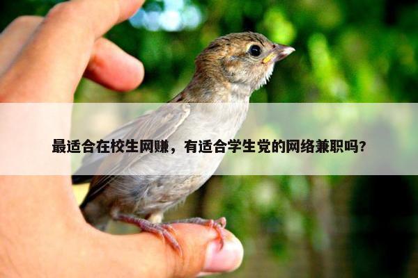最适合在校生网赚，有适合学生党的网络兼职吗?