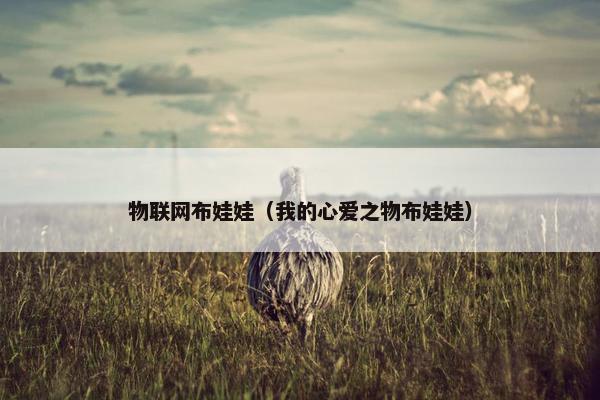 物联网布娃娃（我的心爱之物布娃娃）