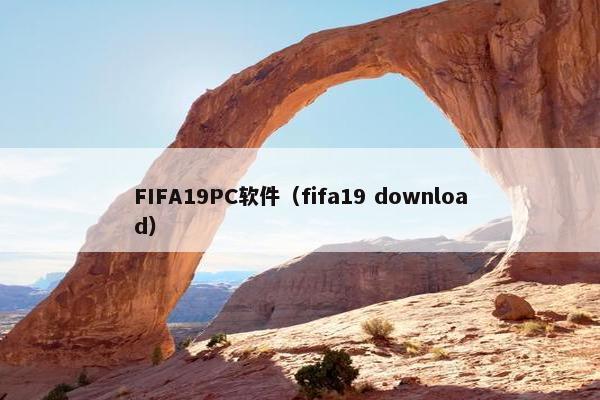 FIFA19PC软件（fifa19 download）