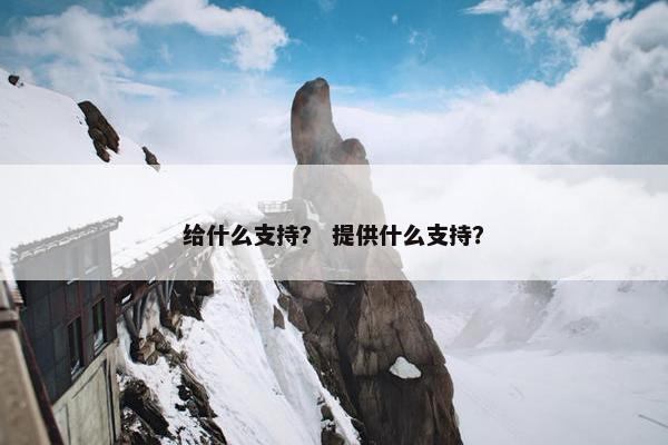给什么支持？ 提供什么支持？