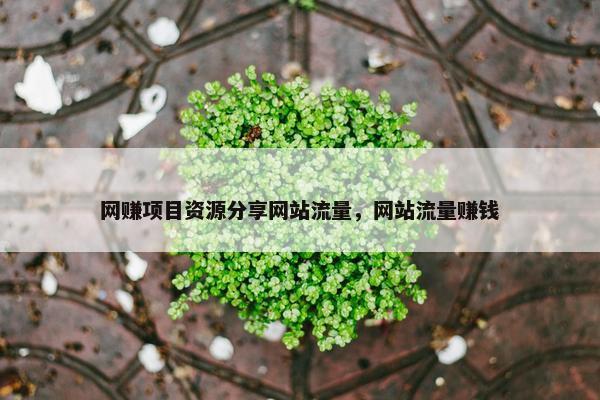 网赚项目资源分享网站流量，网站流量赚钱
