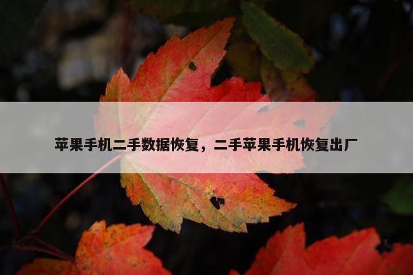 苹果手机二手数据恢复，二手苹果手机恢复出厂