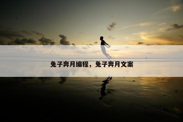 兔子奔月编程，兔子奔月文案