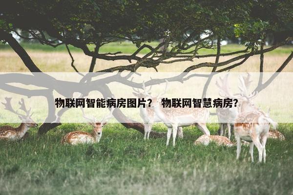 物联网智能病房图片？ 物联网智慧病房？