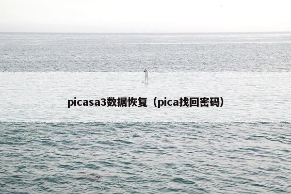 picasa3数据恢复（pica找回密码）
