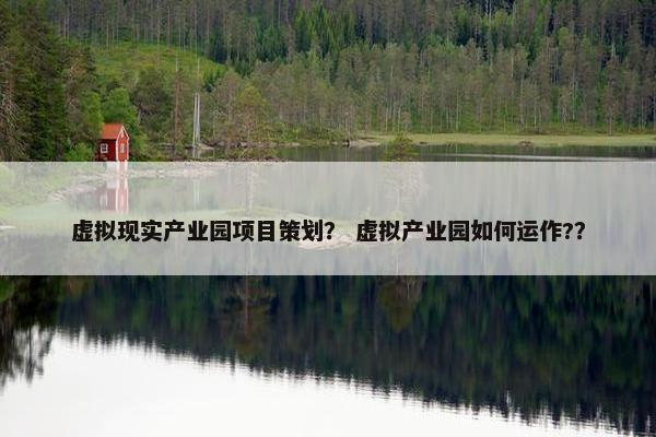 虚拟现实产业园项目策划？ 虚拟产业园如何运作?？