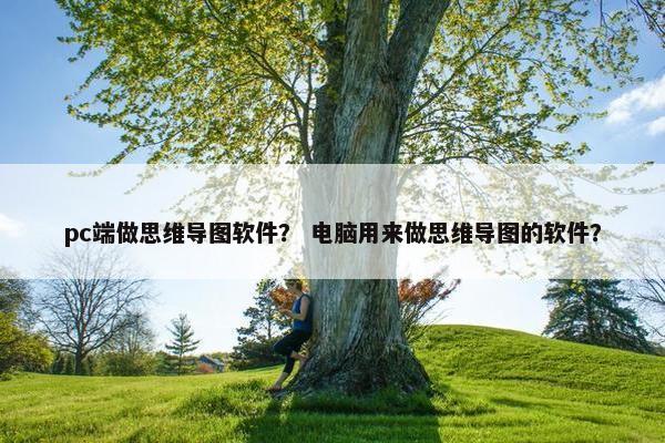 pc端做思维导图软件？ 电脑用来做思维导图的软件？