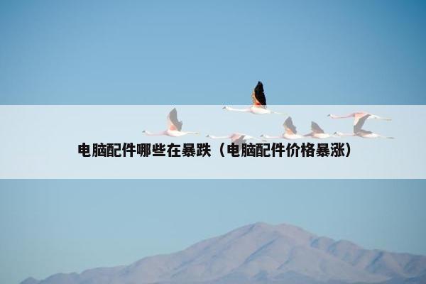电脑配件哪些在暴跌（电脑配件价格暴涨）