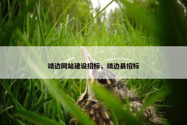 靖边网站建设招标，靖边县招标