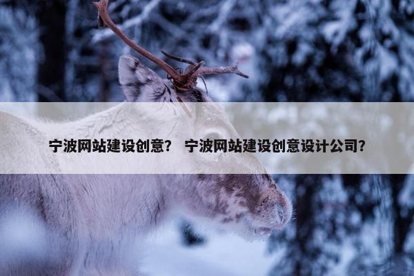宁波网站建设创意？ 宁波网站建设创意设计公司？