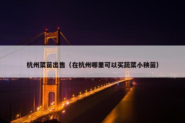 杭州菜苗出售（在杭州哪里可以买蔬菜小秧苗）