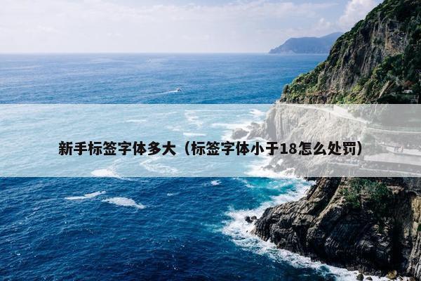 新手标签字体多大（标签字体小于18怎么处罚）