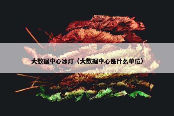 大数据中心冰灯（大数据中心是什么单位）