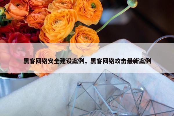 黑客网络安全建设案例，黑客网络攻击最新案例