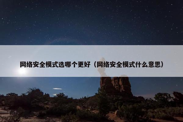 网络安全模式选哪个更好（网络安全模式什么意思）