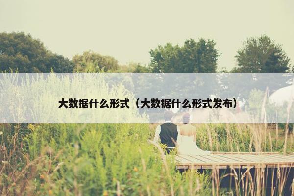 大数据什么形式（大数据什么形式发布）