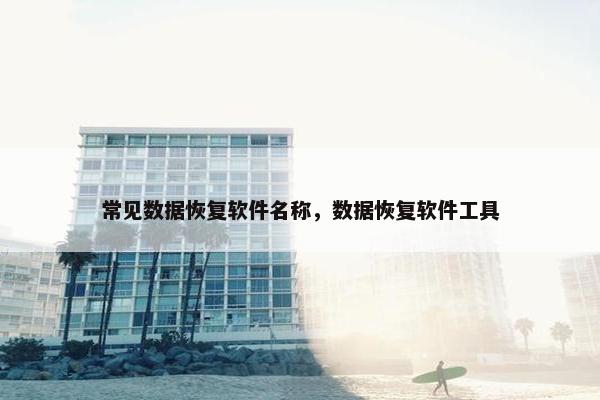 常见数据恢复软件名称，数据恢复软件工具
