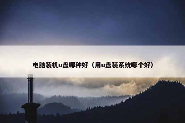 电脑装机u盘哪种好（用u盘装系统哪个好）