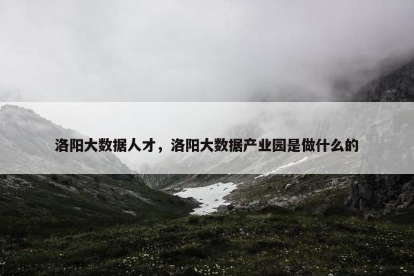 洛阳大数据人才，洛阳大数据产业园是做什么的