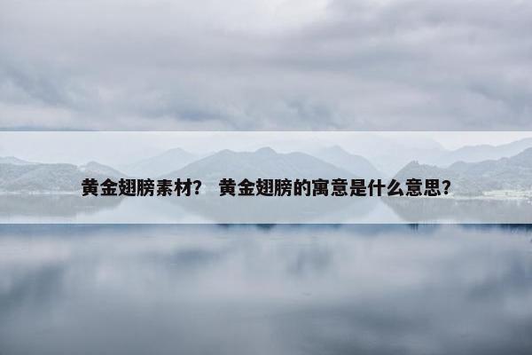黄金翅膀素材？ 黄金翅膀的寓意是什么意思？