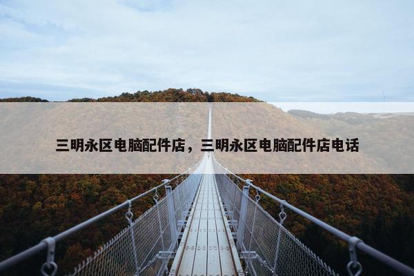 三明永区电脑配件店，三明永区电脑配件店电话