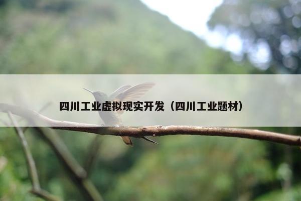 四川工业虚拟现实开发（四川工业题材）