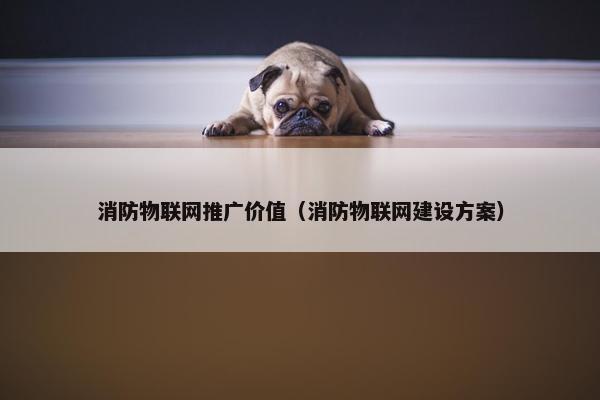 消防物联网推广价值（消防物联网建设方案）
