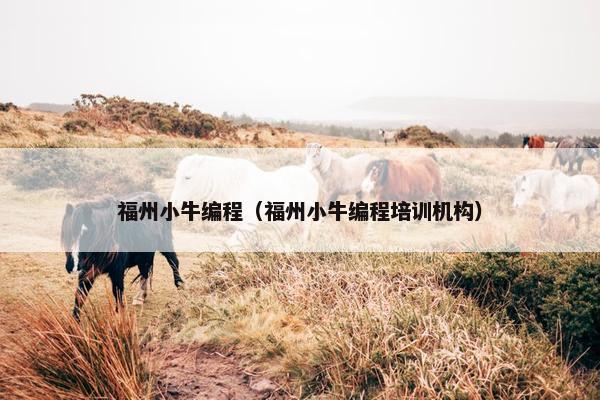 福州小牛编程（福州小牛编程培训机构）