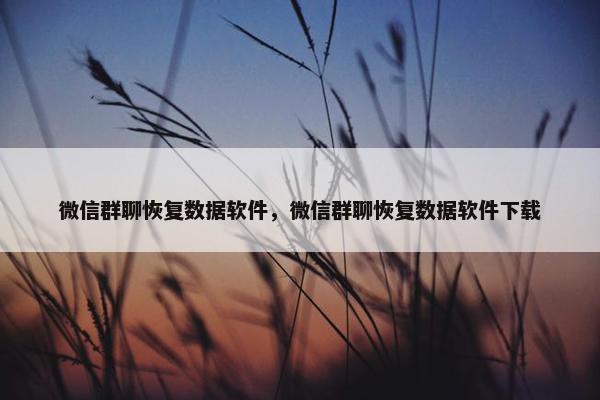 微信群聊恢复数据软件，微信群聊恢复数据软件下载