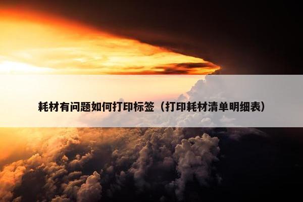 耗材有问题如何打印标签（打印耗材清单明细表）