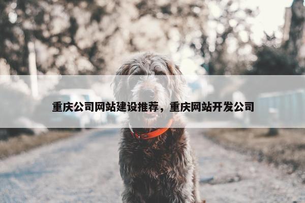 重庆公司网站建设推荐，重庆网站开发公司
