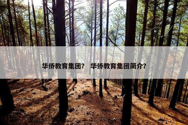 华侨教育集团？ 华侨教育集团简介？