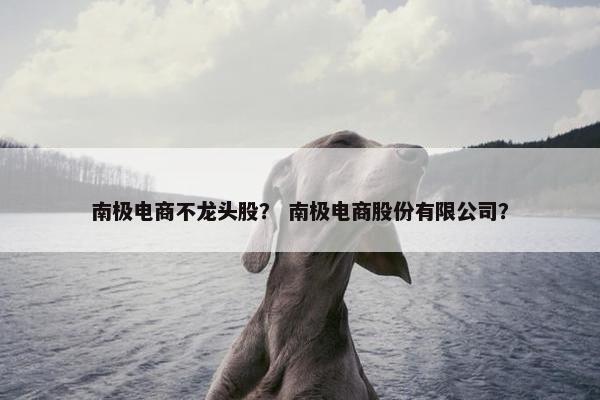 南极电商不龙头股？ 南极电商股份有限公司？