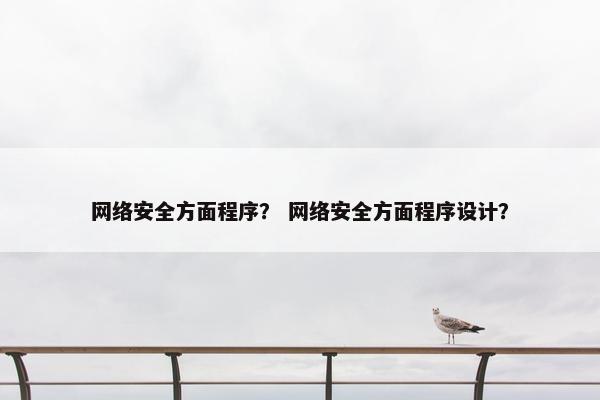 网络安全方面程序？ 网络安全方面程序设计？