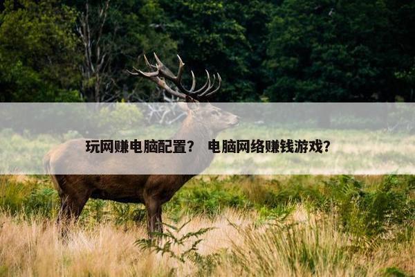 玩网赚电脑配置？ 电脑网络赚钱游戏？