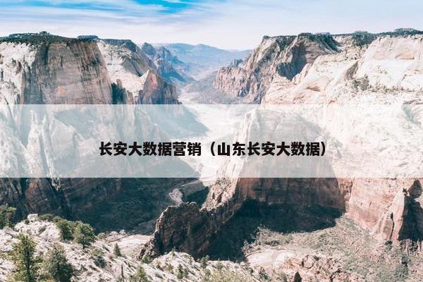 长安大数据营销（山东长安大数据）