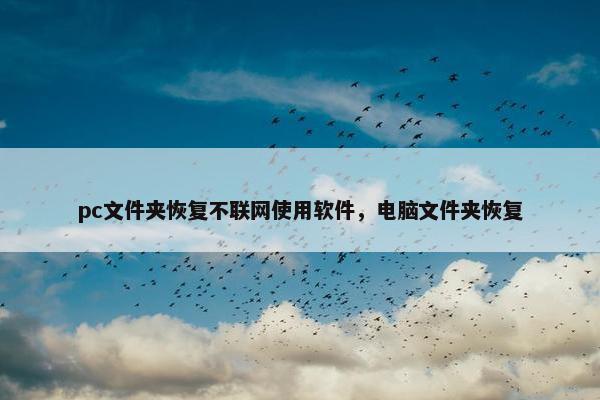 pc文件夹恢复不联网使用软件，电脑文件夹恢复