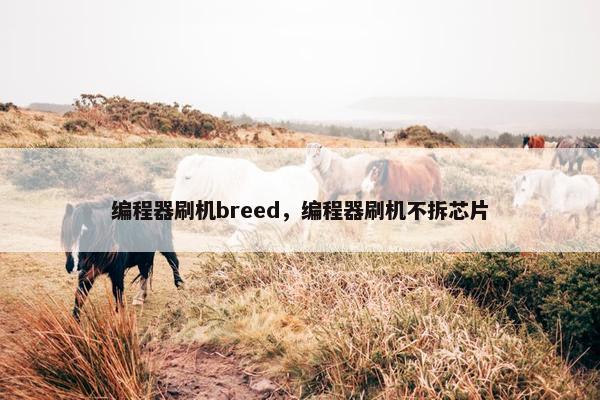 编程器刷机breed，编程器刷机不拆芯片