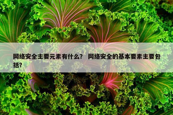 网络安全主要元素有什么？ 网络安全的基本要素主要包括？