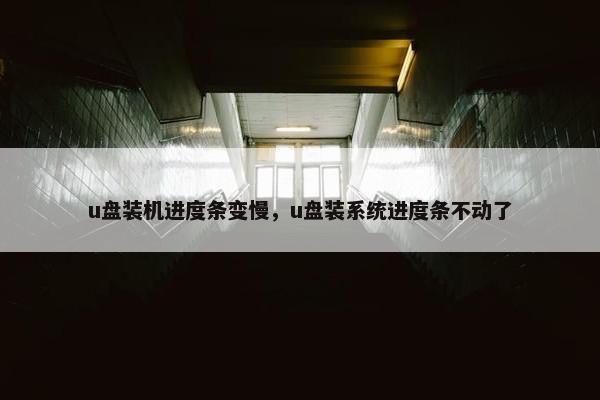u盘装机进度条变慢，u盘装系统进度条不动了