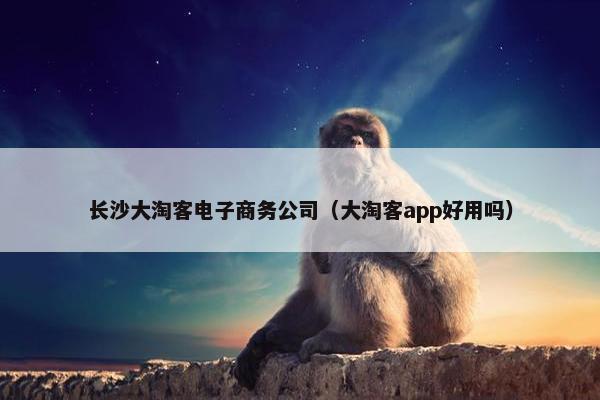 长沙大淘客电子商务公司（大淘客app好用吗）