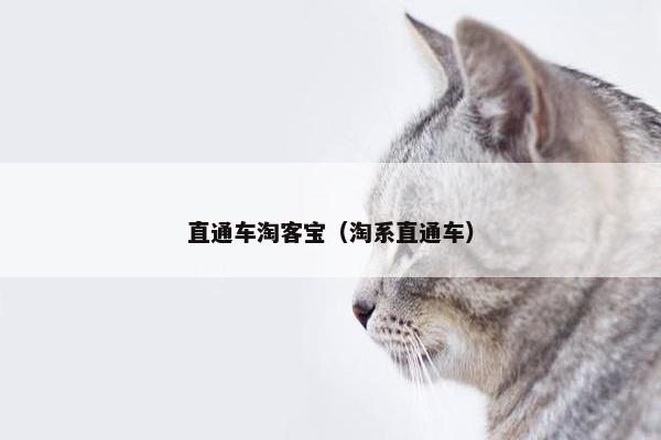 直通车淘客宝（淘系直通车）