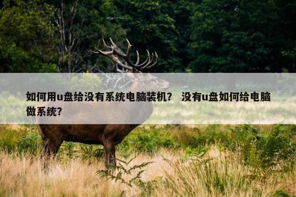 如何用u盘给没有系统电脑装机？ 没有u盘如何给电脑做系统？