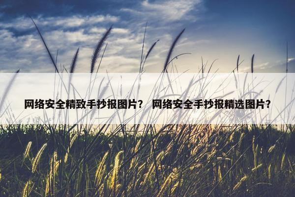 网络安全精致手抄报图片？ 网络安全手抄报精选图片？