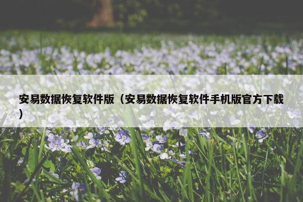安易数据恢复软件版（安易数据恢复软件手机版官方下载）