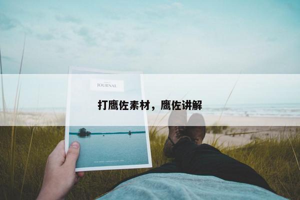 打鹰佐素材，鹰佐讲解