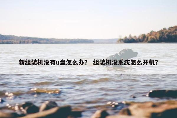 新组装机没有u盘怎么办？ 组装机没系统怎么开机？
