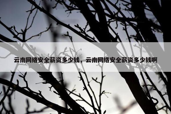 云南网络安全薪资多少钱，云南网络安全薪资多少钱啊