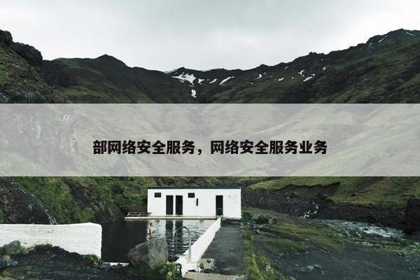 部网络安全服务，网络安全服务业务